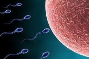 Sperm Arttırıcı İlaçlar