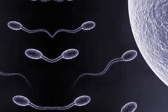 Sperm Performansı Nasıl Artar?